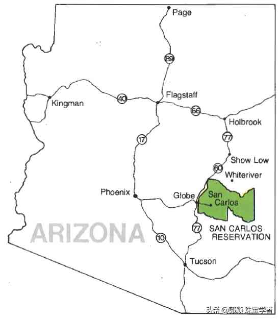 橄榄石有收藏价值吗(橄榄石值多少钱)插图1 橄榄石有收藏价值吗(橄榄石值多少钱)插图1