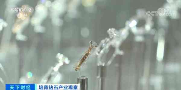 钻石价格上涨(钻石价格上涨超50% 印度珠宝制造商陷入困境)插图5 钻石价格上涨(钻石价格上涨超50% 印度珠宝制造商陷入困境)插图5