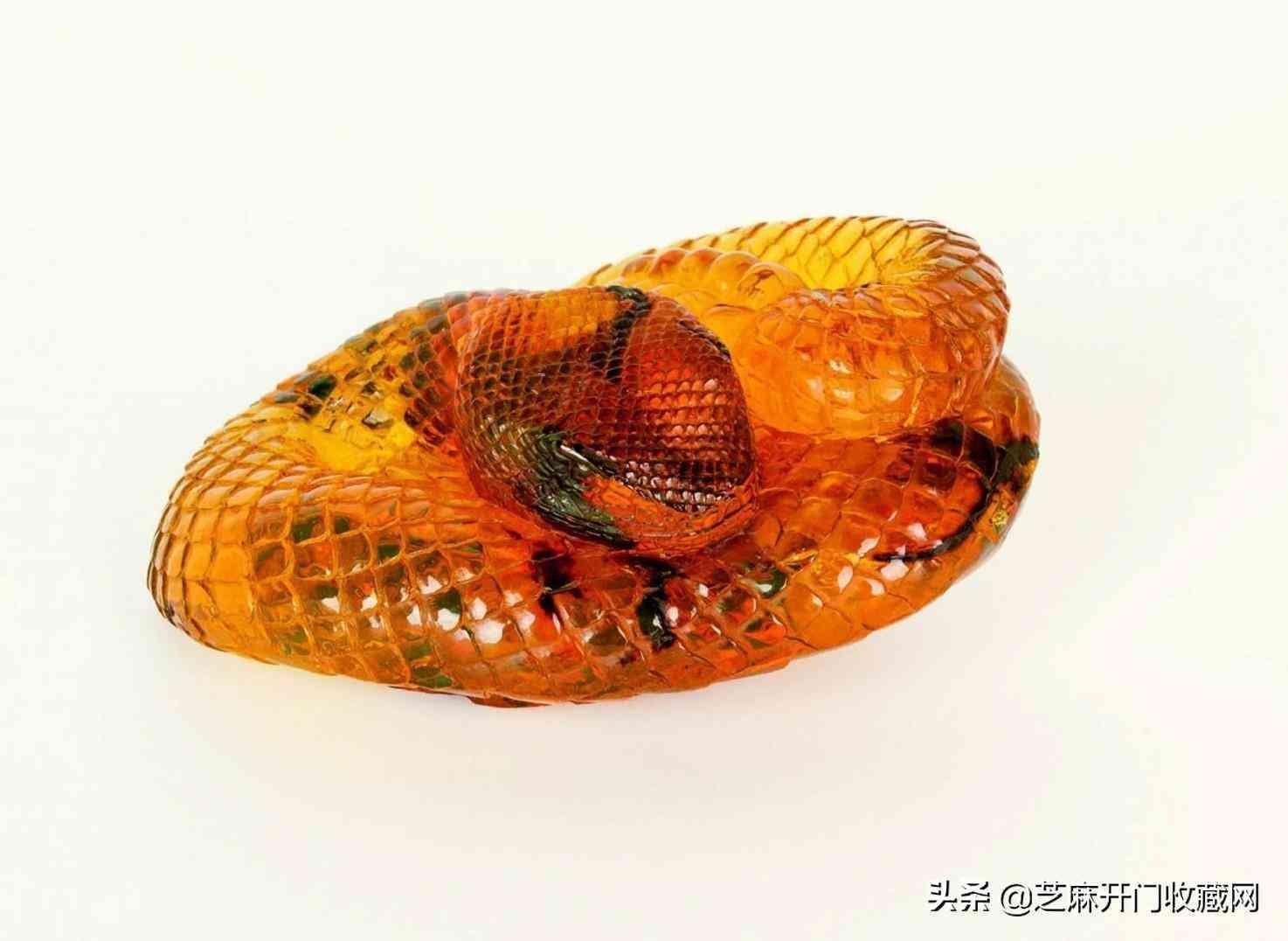 女人带琥珀的功效与禁忌(女人带琥珀的功效与禁忌有哪些)插图2 女人带琥珀的功效与禁忌(女人带琥珀的功效与禁忌有哪些)插图2