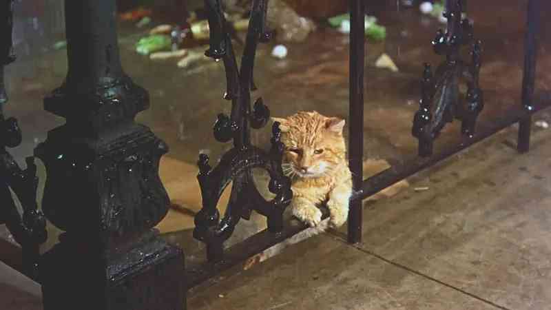 蒂凡尼的早餐百度云(电影蒂凡尼的早餐百度网盘资源)插图7 蒂凡尼的早餐百度云(电影蒂凡尼的早餐百度网盘资源)插图7