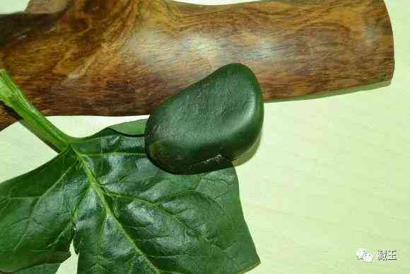 和田玉碧玉属于什么档次(和田玉的八个等级)插图8