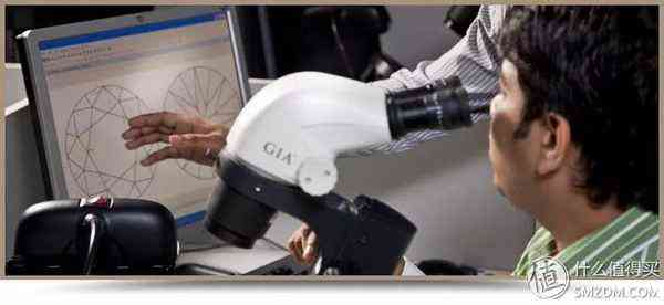 钻石小鸟怎么样知乎(钻石小鸟是真的吗)插图9 钻石小鸟怎么样知乎(钻石小鸟是真的吗)插图9