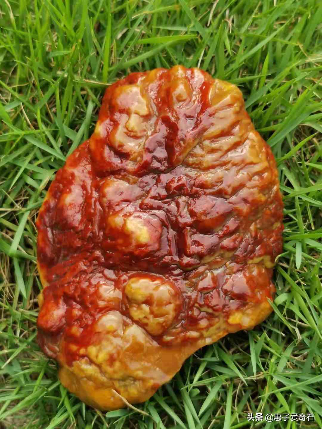 黄蜡石原石价格(黄蜡石原石价格走势)插图18 黄蜡石原石价格(黄蜡石原石价格走势)插图18