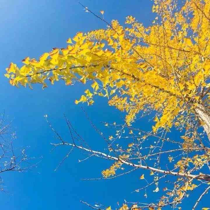 女士带南红手串的好处(女士带南红手串的禁忌)插图32 女士带南红手串的好处(女士带南红手串的禁忌)插图32