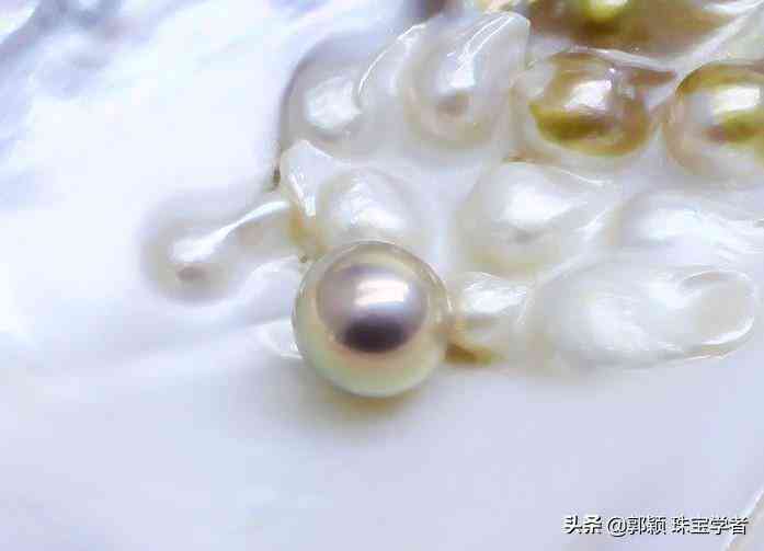 为什么不要买爱迪生珍珠插图4 为什么不要买爱迪生珍珠插图4