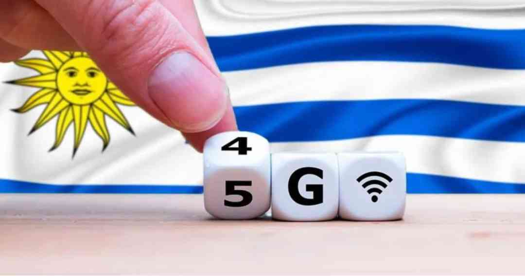 乌拉圭紫水晶800贵吗(乌拉圭紫水晶800贵吗值钱吗)插图12