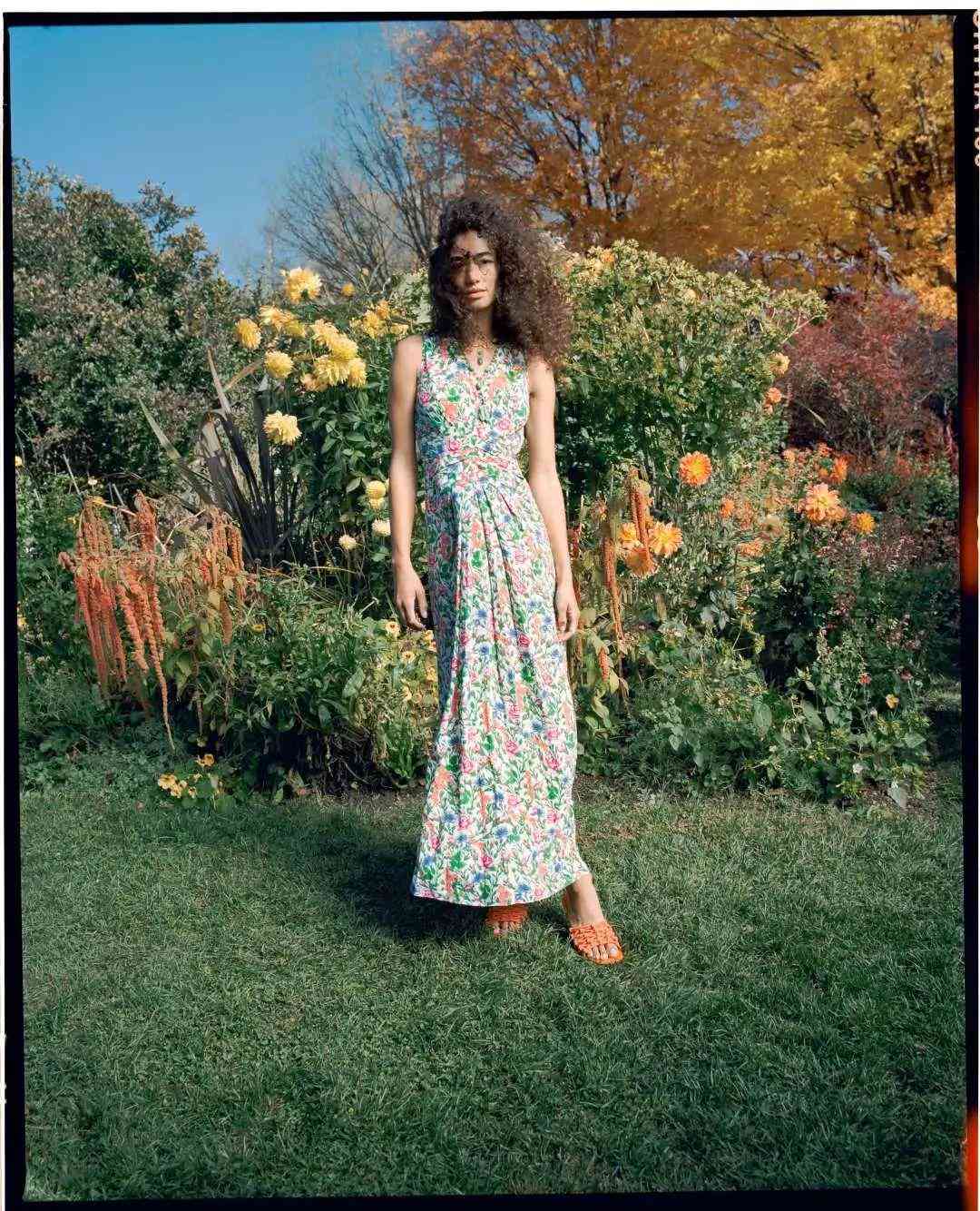 钻石小鸟钻石价格(钻石小鸟钻石价格是多少)插图5