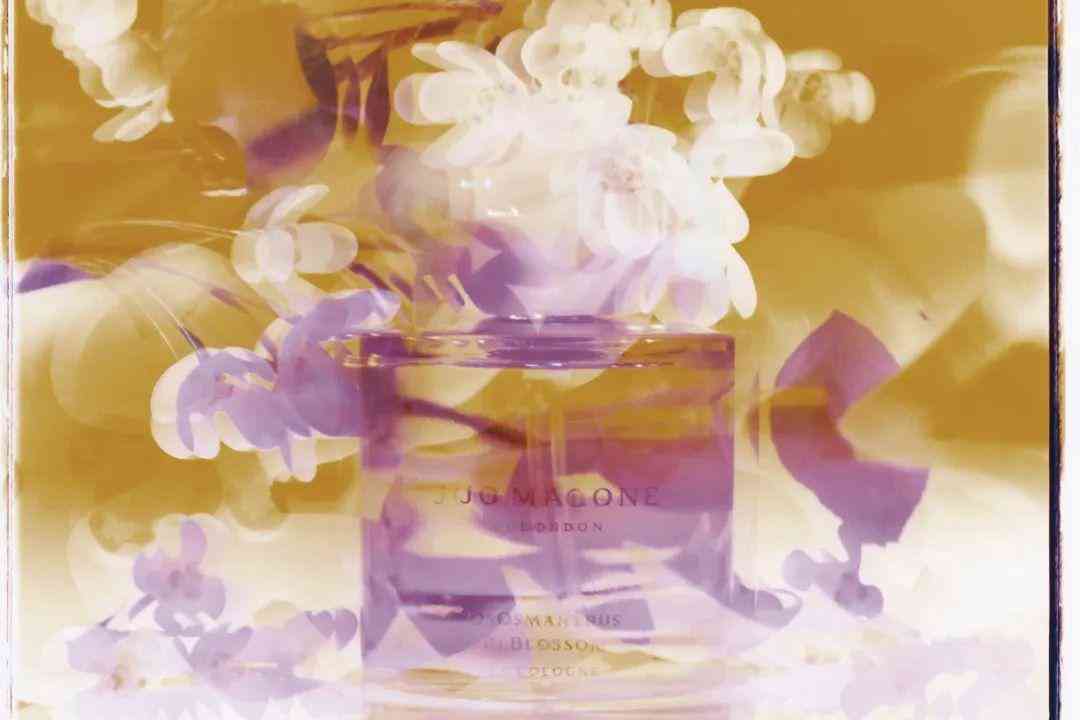 钻石小鸟钻石价格(钻石小鸟钻石价格是多少)插图14