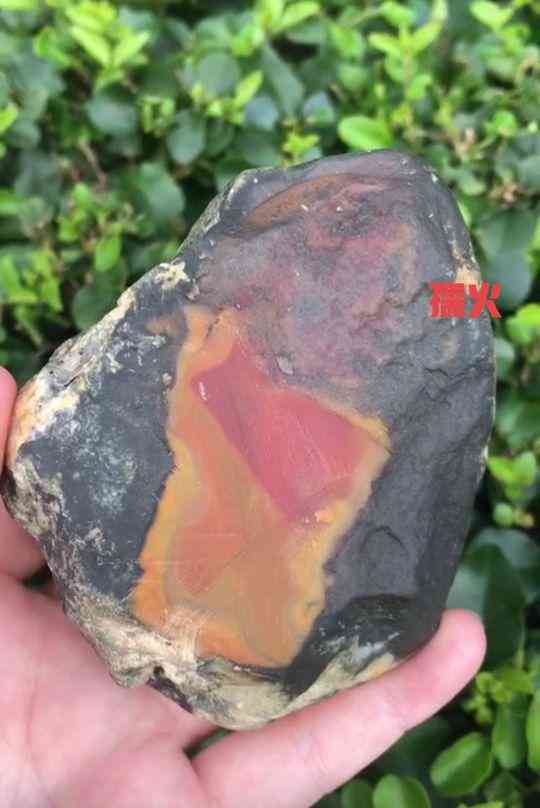 黄蜡石产地(黄蜡石哪里产地的最好)插图43 黄蜡石产地(黄蜡石哪里产地的最好)插图43