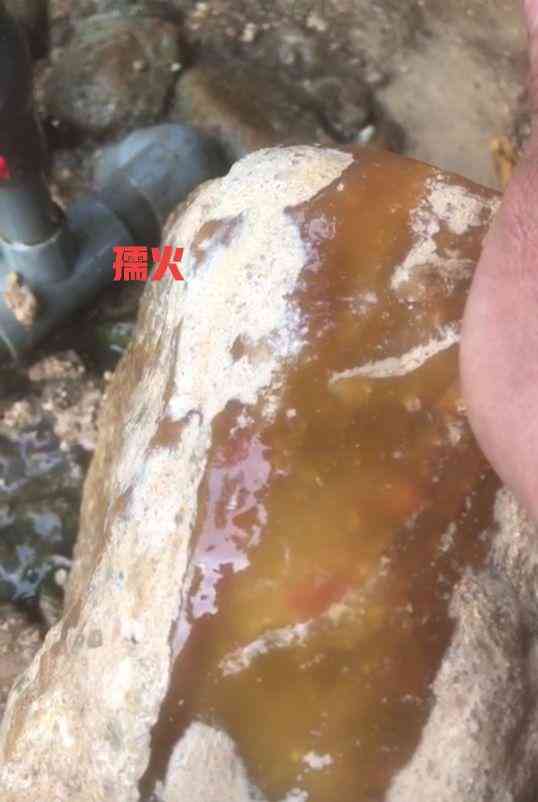 黄蜡石产地(黄蜡石哪里产地的最好)插图45 黄蜡石产地(黄蜡石哪里产地的最好)插图45