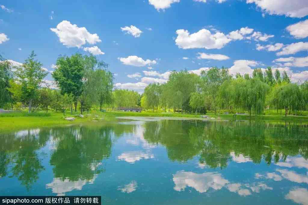 北京哪里买翡翠最放心(北京哪里买翡翠最放心的地方)插图2 北京哪里买翡翠最放心(北京哪里买翡翠最放心的地方)插图2