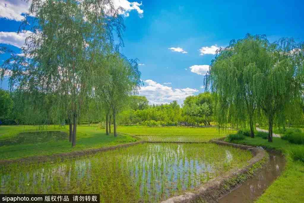 北京哪里买翡翠最放心(北京哪里买翡翠最放心的地方)插图6 北京哪里买翡翠最放心(北京哪里买翡翠最放心的地方)插图6