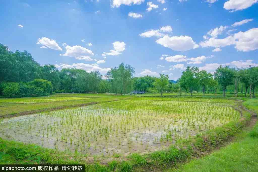 北京哪里买翡翠最放心(北京哪里买翡翠最放心的地方)插图7 北京哪里买翡翠最放心(北京哪里买翡翠最放心的地方)插图7