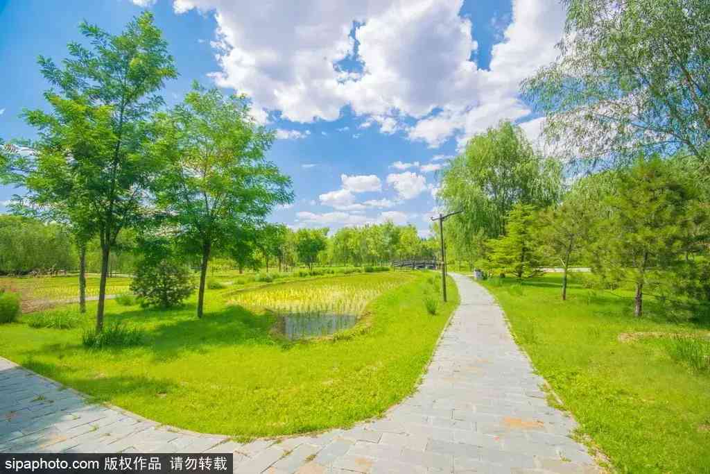 北京哪里买翡翠最放心(北京哪里买翡翠最放心的地方)插图8 北京哪里买翡翠最放心(北京哪里买翡翠最放心的地方)插图8