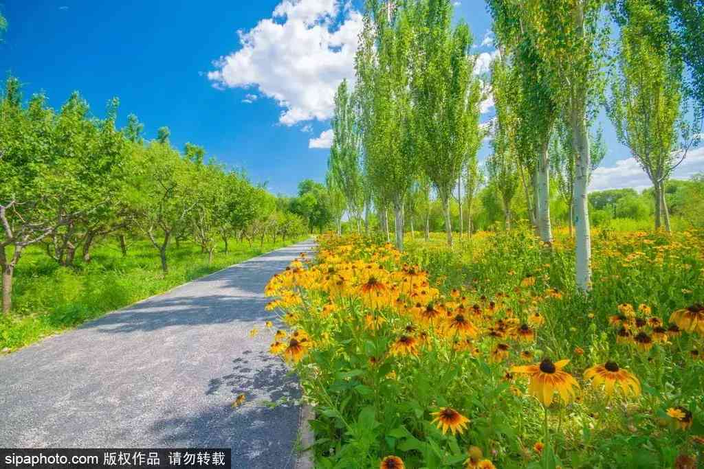 北京哪里买翡翠最放心(北京哪里买翡翠最放心的地方)插图11 北京哪里买翡翠最放心(北京哪里买翡翠最放心的地方)插图11