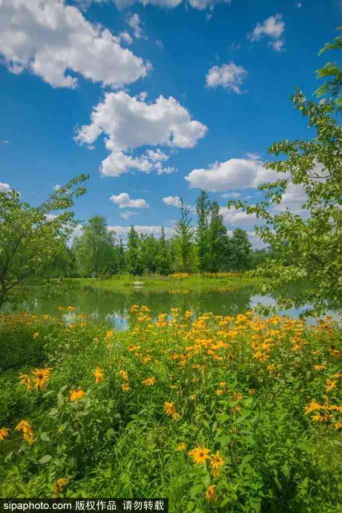 北京哪里买翡翠最放心(北京哪里买翡翠最放心的地方)插图13 北京哪里买翡翠最放心(北京哪里买翡翠最放心的地方)插图13