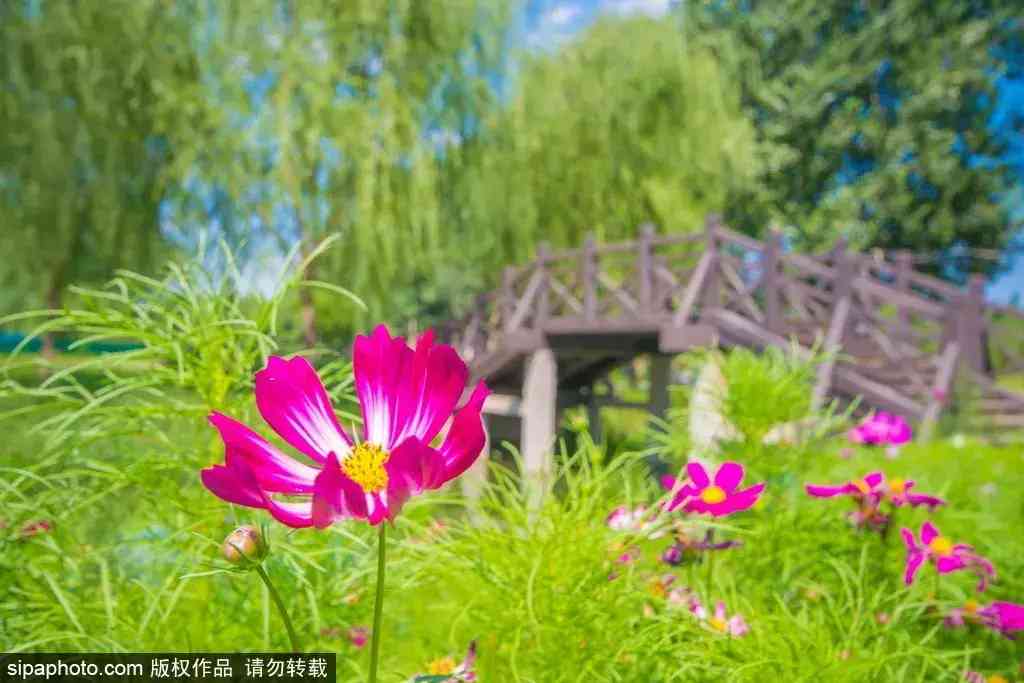 北京哪里买翡翠最放心(北京哪里买翡翠最放心的地方)插图14 北京哪里买翡翠最放心(北京哪里买翡翠最放心的地方)插图14