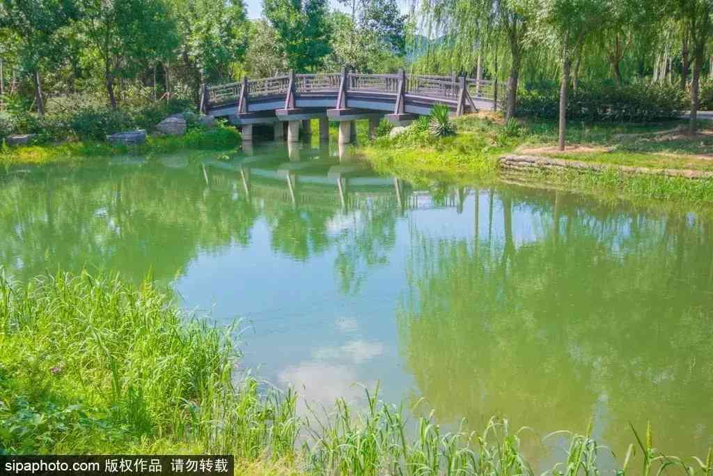 北京哪里买翡翠最放心(北京哪里买翡翠最放心的地方)插图17 北京哪里买翡翠最放心(北京哪里买翡翠最放心的地方)插图17