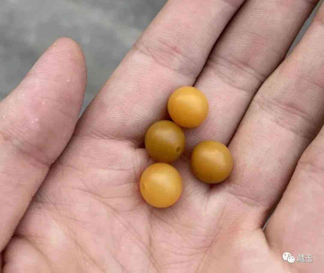 正宗和田玉手镯价格是多少(正宗和田玉手镯价格是多少钱一克)插图20