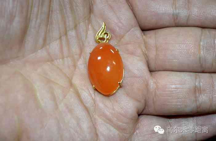 金丝玉养人吗(金丝玉养人吗能养活吗)