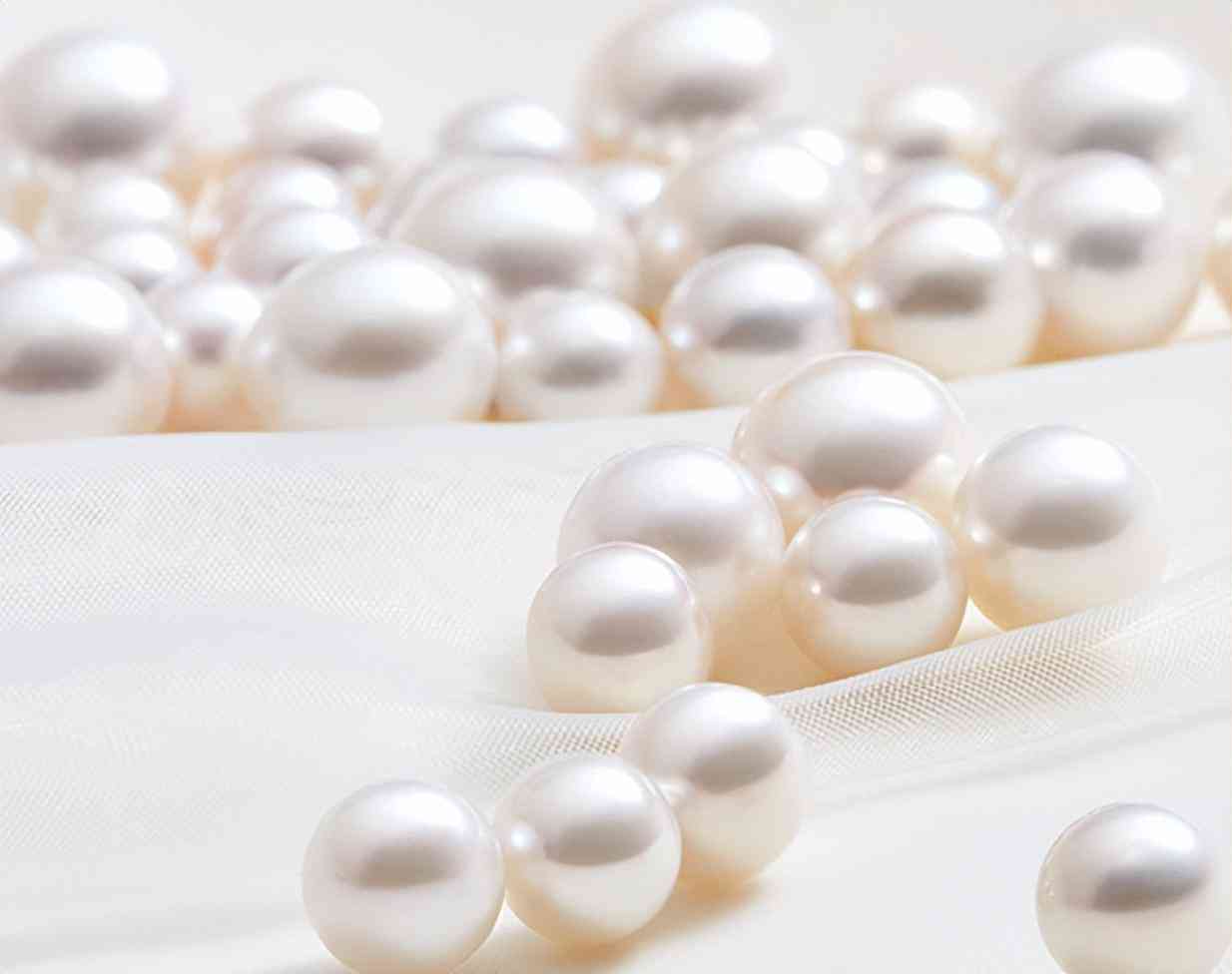 黑珍珠的寓意(龙血树黑珍珠的寓意)