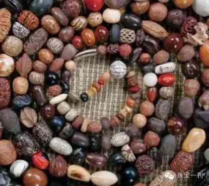 70种菩提子大全(菩提子大全图片)