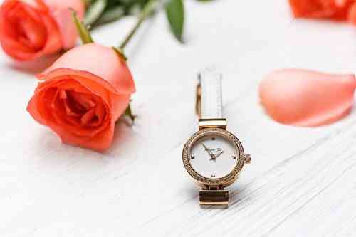 女士手表品牌排行榜(女士手表品牌排行榜前十名)