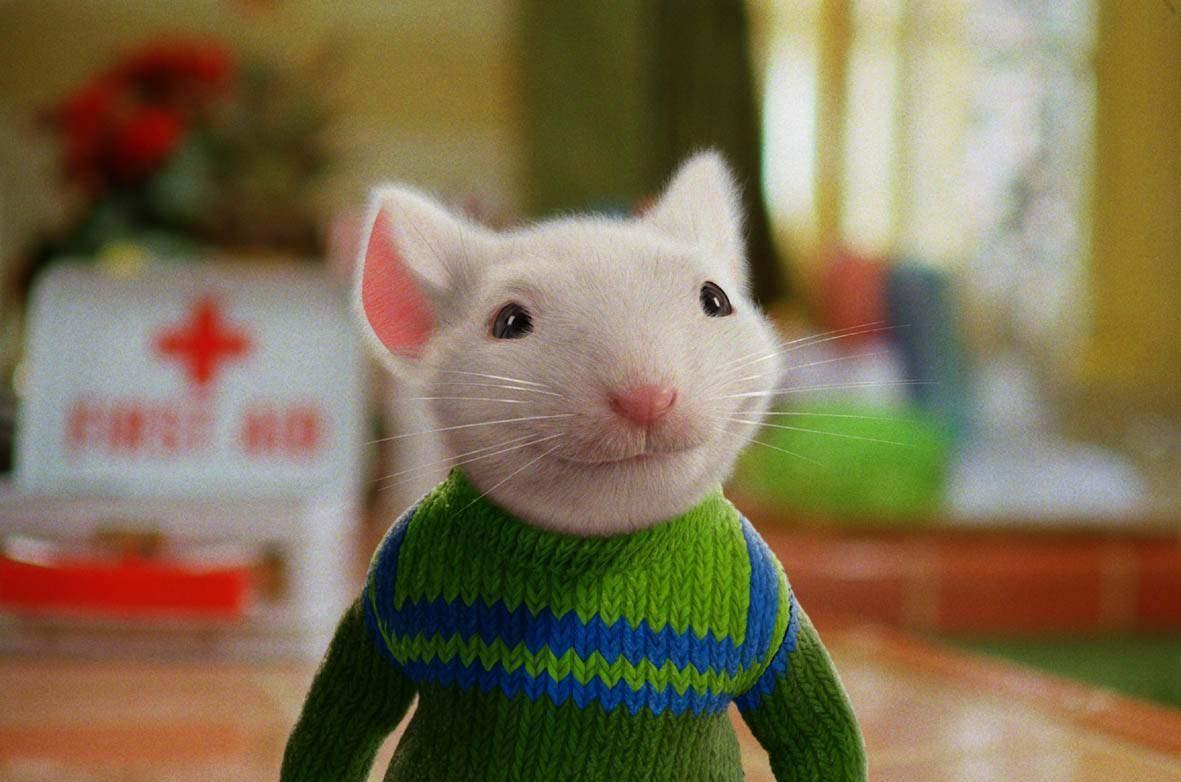 买了貔貅后一直破财(怎么知道貔貅认主了)