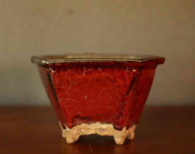 俄罗斯玉价格(俄罗斯玉价格及图片)