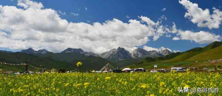 如何辨别珠宝鉴定证书的真伪(怎么看鉴定证书真伪)