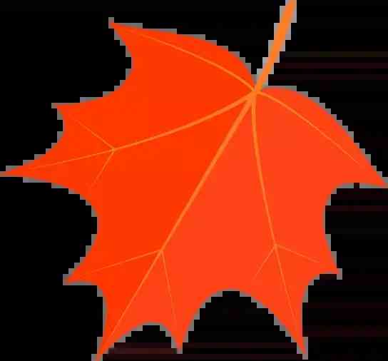 水晶手串真假鉴别(水晶手串的真假)