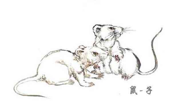 紫水晶的寓意五行属性(紫水晶五行属于什么类)