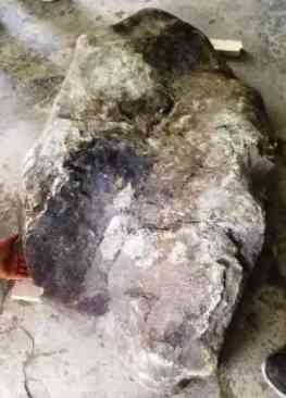 怎么鉴别石头是玉石(怎么鉴定石头是玉石)