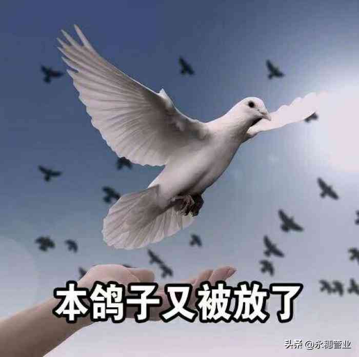 金价今日黄金价格(西安金价今日黄金价格)