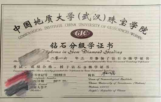 钻石小鸟总部地址(钻石小鸟全国门店)