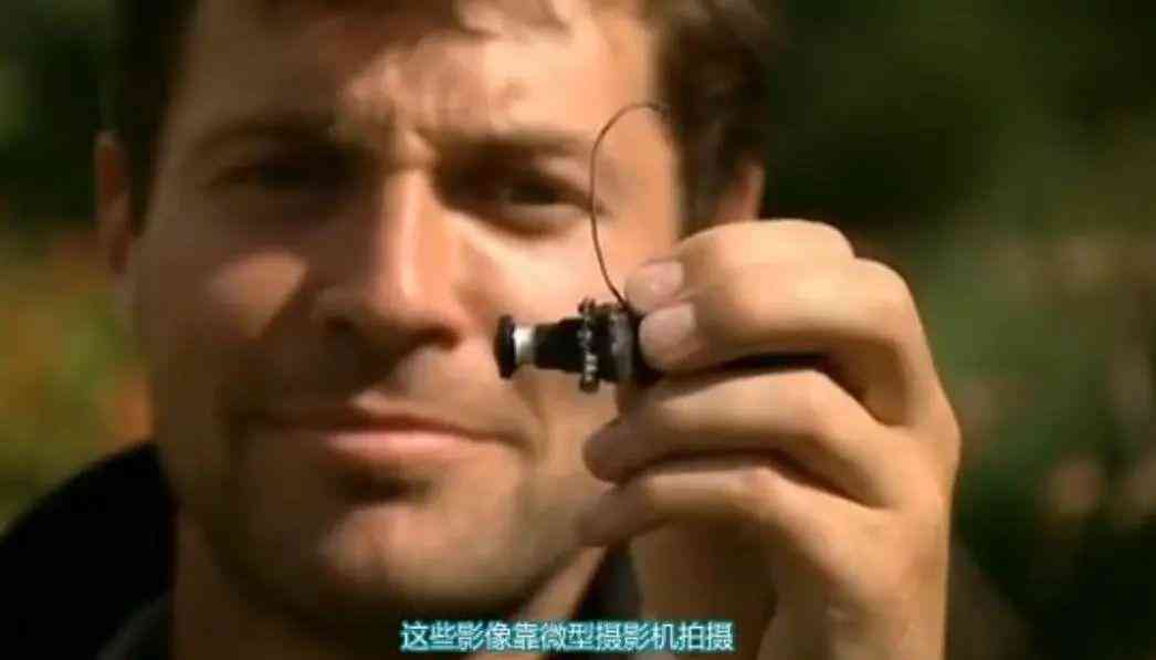 定制珠宝品牌(定制珠宝品牌定位)