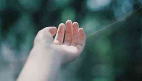 钻石小鸟大连实体店(钻石小鸟体验中心地址)