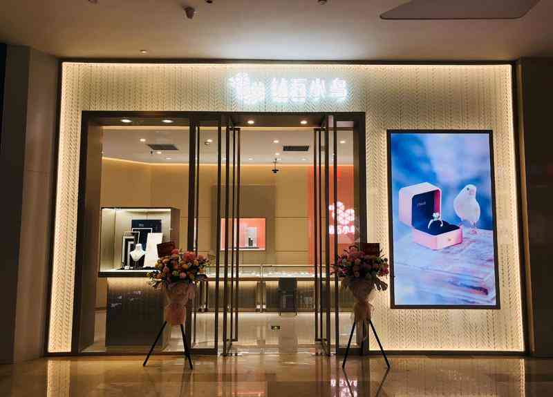 钻石小鸟融资(钻石小鸟融资一个亿节目结果)