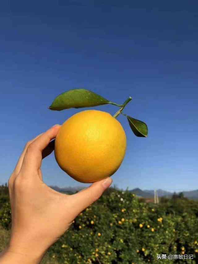 世界珠宝品牌排行榜(世界珠宝品牌排行榜前100名)