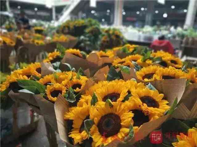 玫瑰金价格今天多少一克(玫瑰金今天多少钱一克)