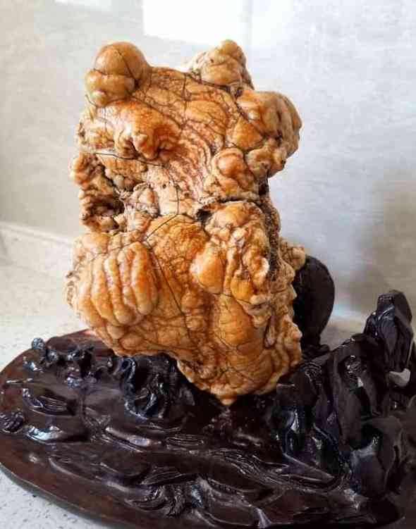 南红和玛瑙的区别在哪里(鉴别南红玛瑙最简单方法)