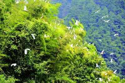 河边能捡到翡翠原石(河边能捡到宝石吗)