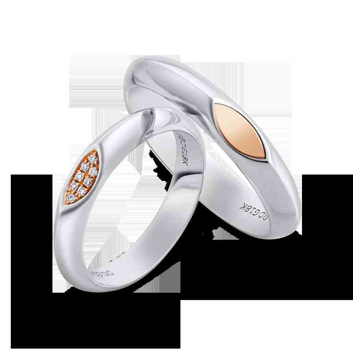 铂金项链什么款式洋气(铂金项链什么款式好看)