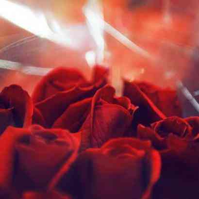 女生过生日应该送什么礼物(女生过生日应该送什么礼物?)