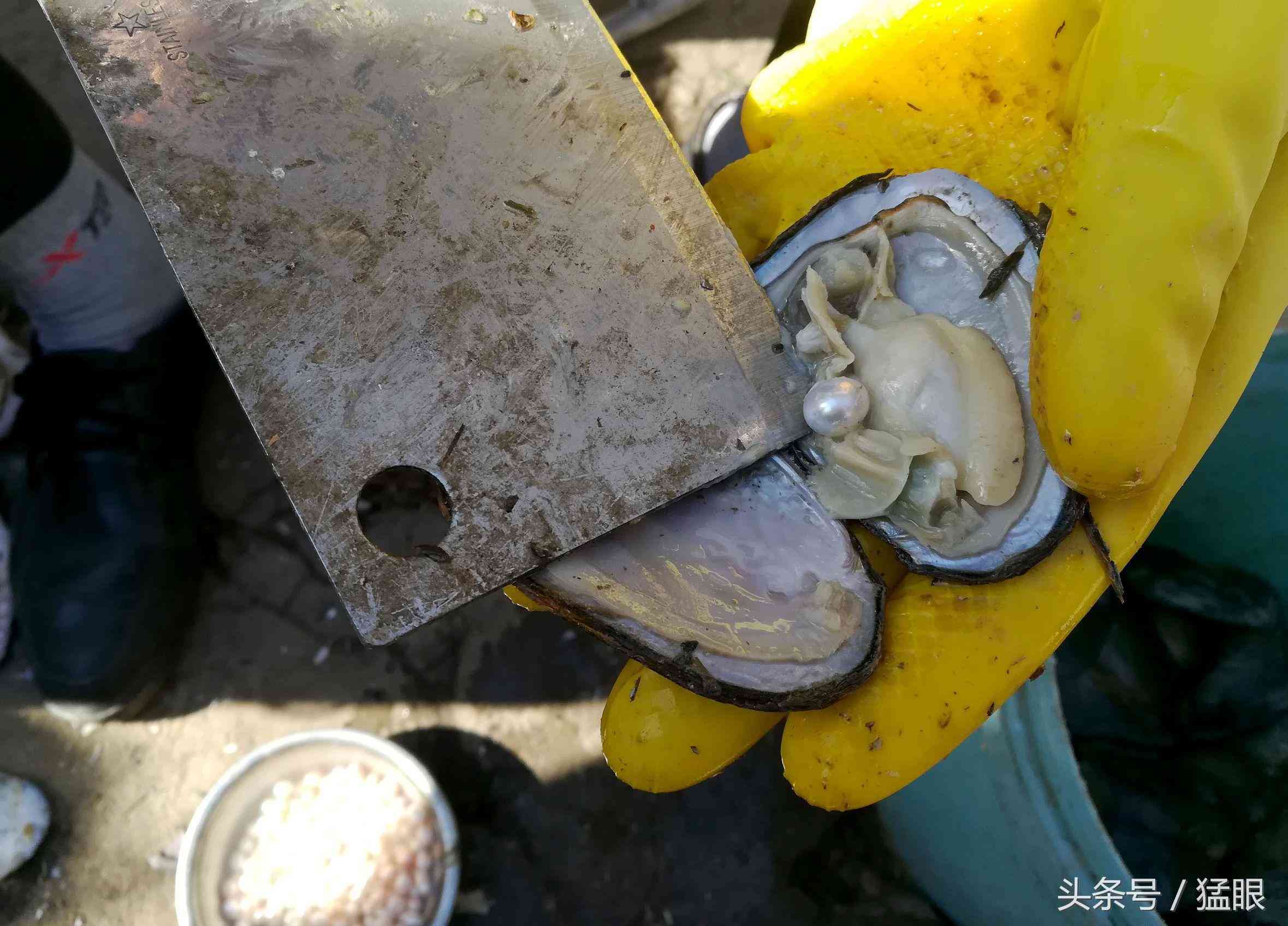 老人街头卖北海珍珠,一颗两元现拨现卖现加工,市民围观只看不买