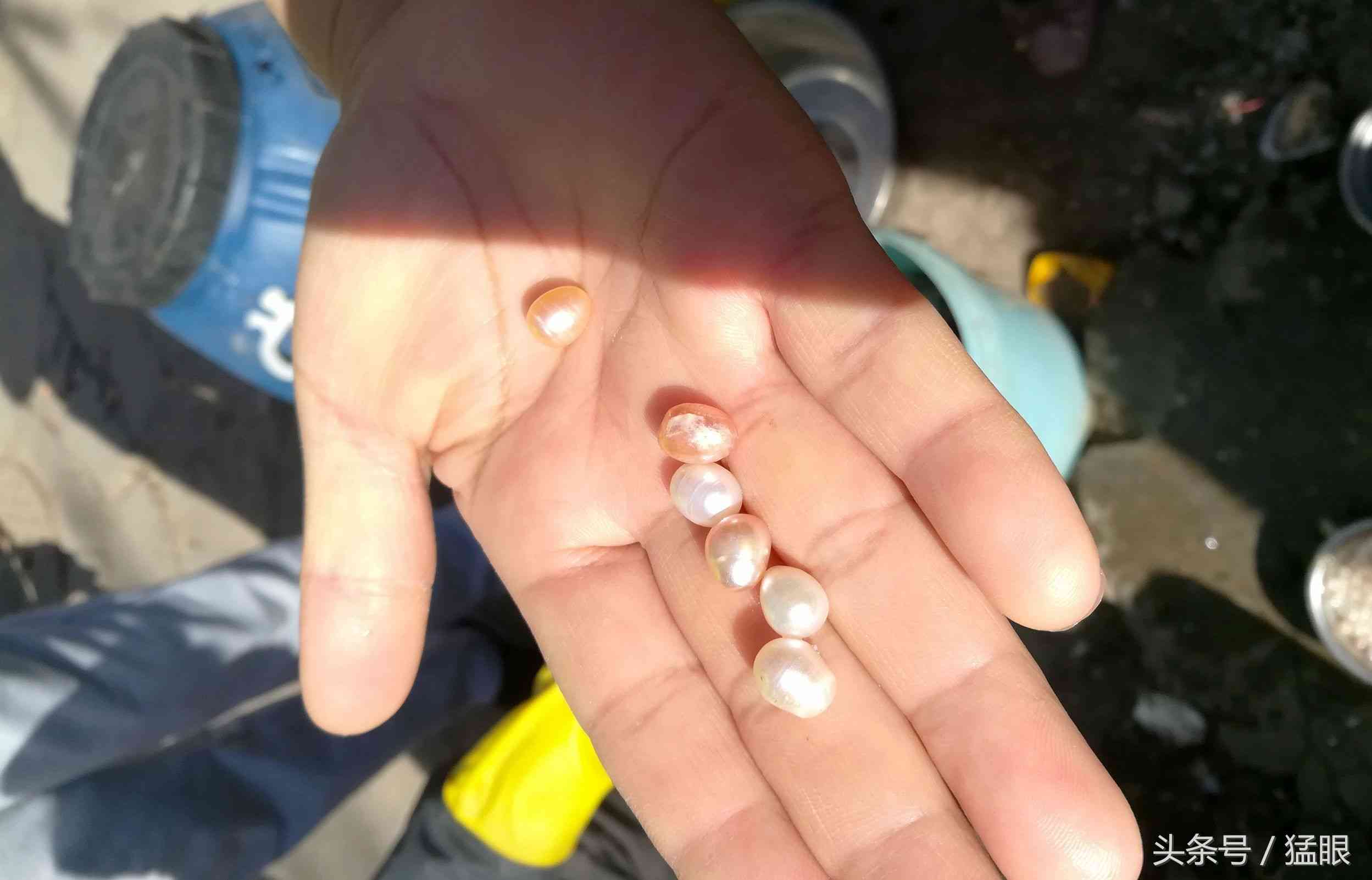 老人街头卖北海珍珠,一颗两元现拨现卖现加工,市民围观只看不买