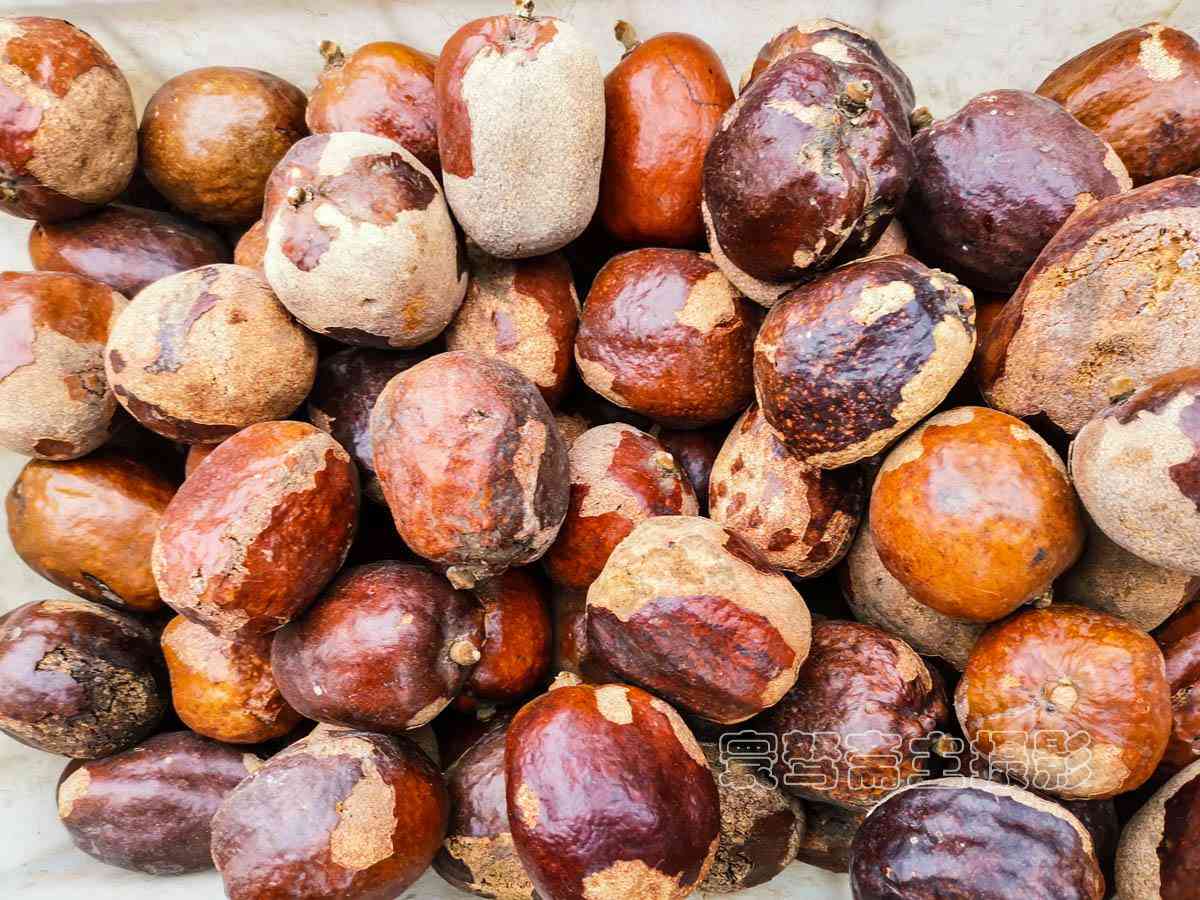 想知道“千眼菩提”是一种什么样的文玩饰品么,那就来这里看看吧