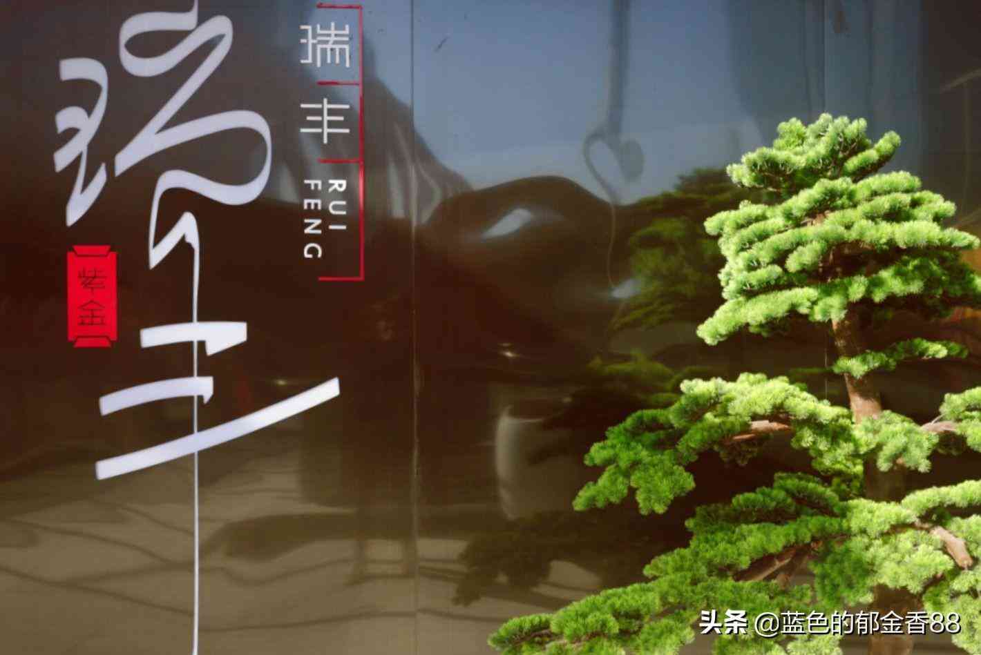 泸定化妆品店在哪里呢最近(泸州美妆店)