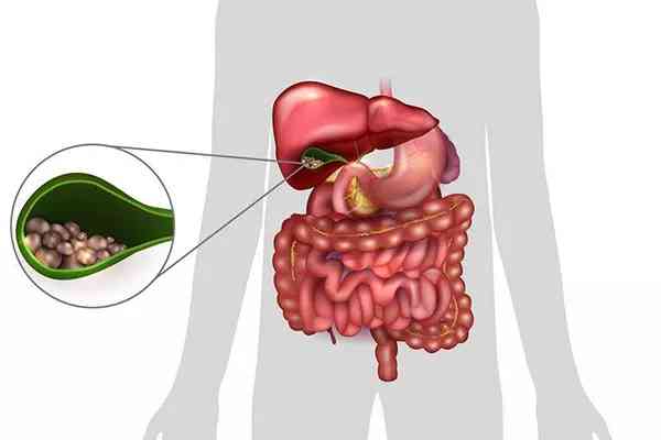 化妆品中鱼子酱含雌激素吗(很多护肤品里都说含有鱼子酱,这是真的吗)插图4