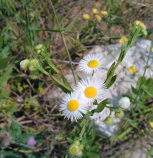 城阳家佳源化妆品招聘(城阳家佳源电话号码)插图11